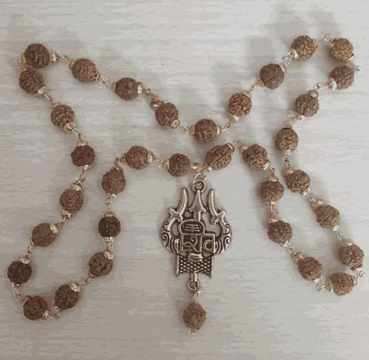 BD 7 Mukhi Rudraksha