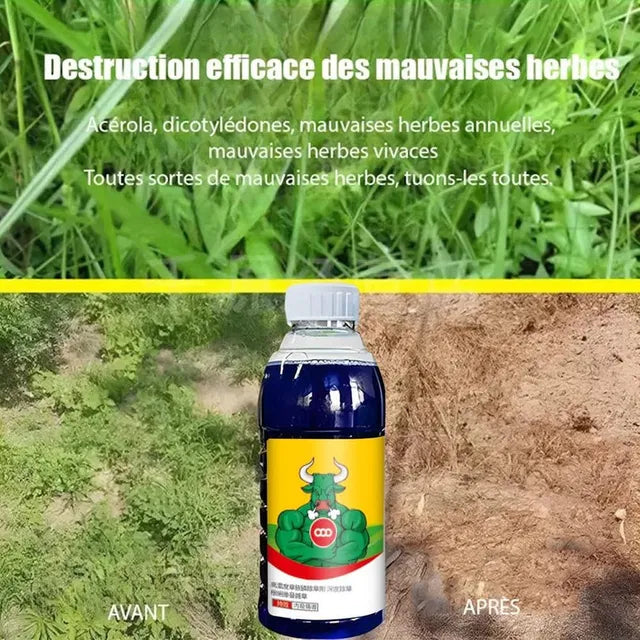 High-Concentration Glufosinate Herbicide All Crop