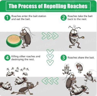 Natural Cockroach Killer for Kitchen, Bathroom And Cabinets Eco-Friendly Home Remedy for Indoor Cockroach Control Killer (Pack of 24)