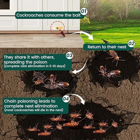 Natural Cockroach Killer for Kitchen, Bathroom And Cabinets Eco-Friendly Home Remedy for Indoor Cockroach Control Killer (Pack of 24)