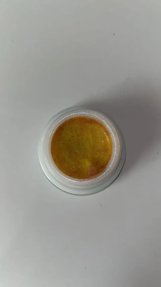 Cockroach Killer for Kitchens Bathrooms and Cabinets Eco-Friendly Home Remedy for Indoor Cockroach Control (Pack of 2)