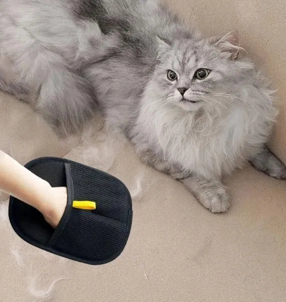 Pet hair removal glove