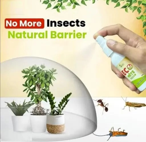 Natural Eco Mite Spray Pack of 2